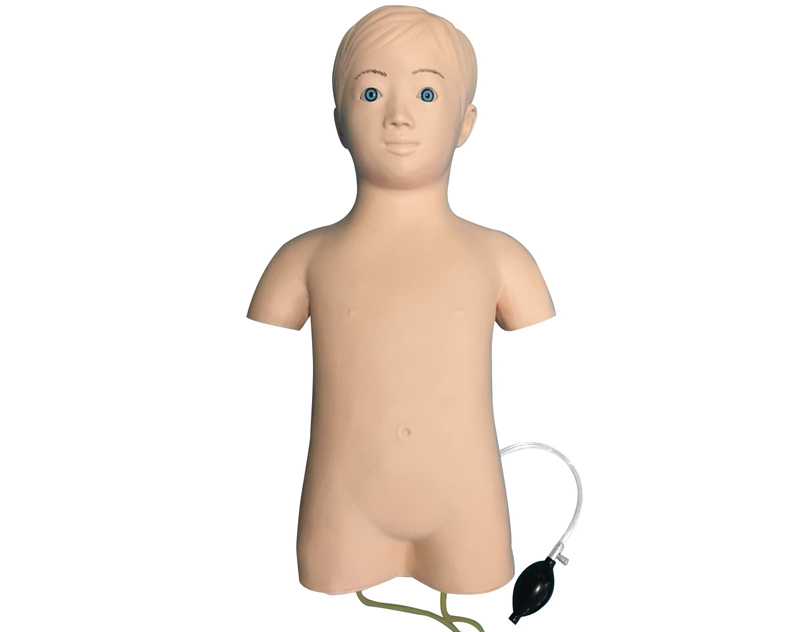 儿童股静脉与股动脉穿刺训练模型