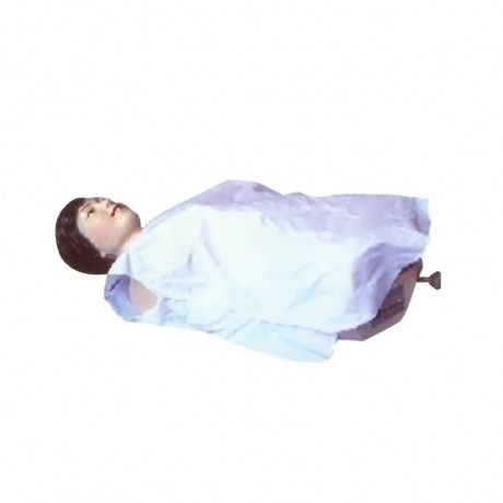 肝脾触诊电动模型