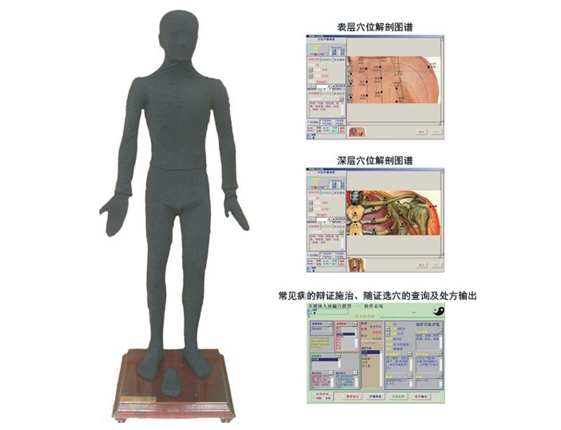 多媒体按摩点穴电子人体模型